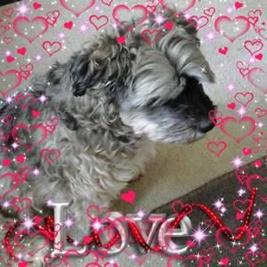 Meet your Posher, Catherine